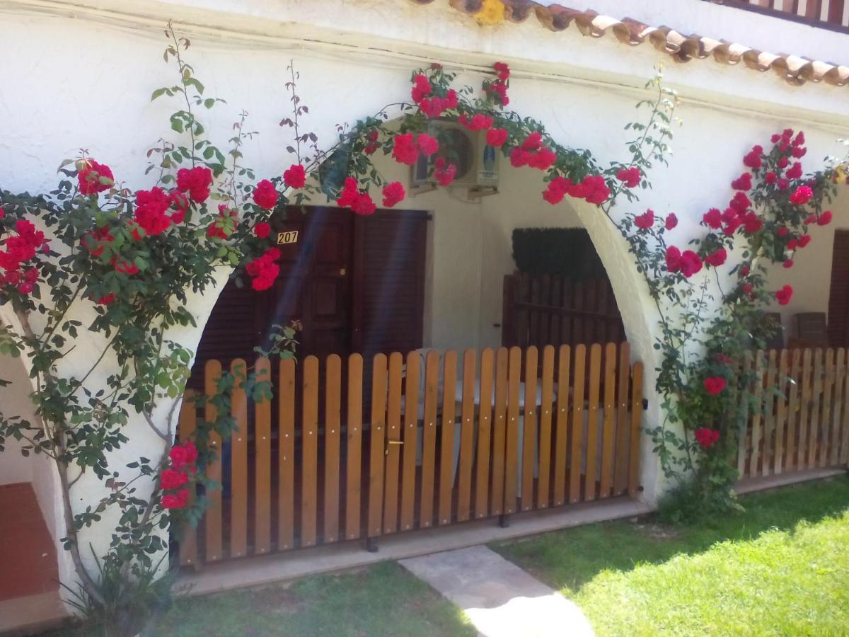 Apartamentos Alcossebre "El Faro Apartaments Alcossebre" Piscina, Playa Y Diversion Exteriör bild